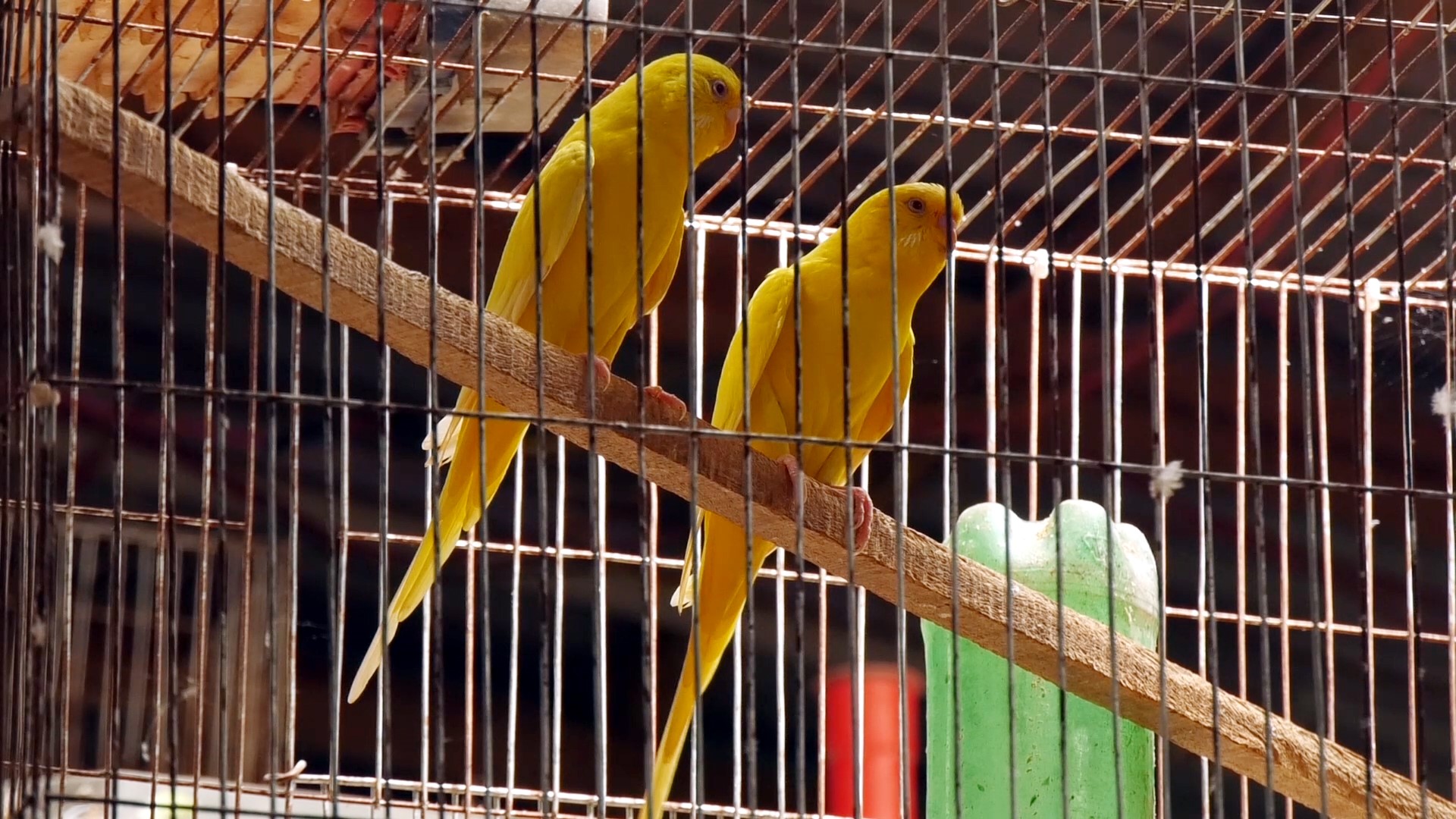 Jamalpur_6 Jamalpur_6