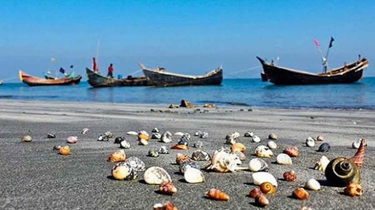 শামুক-ঝিনুকে অর্থনীতিতে নতুন সম্ভাবনা কক্সবাজারে