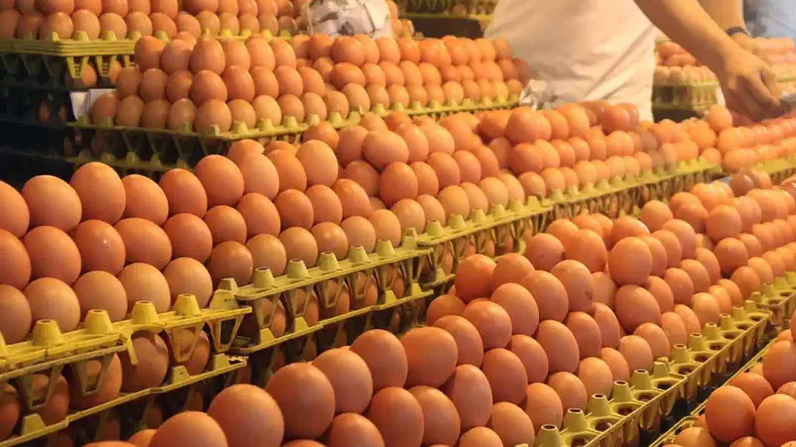 আরও ছয় কোটি ডিম আমদানির অনুমতি