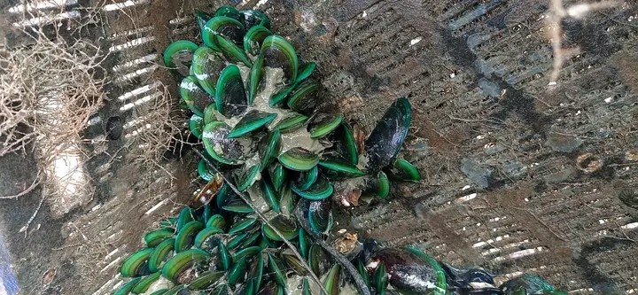 thumbnail_1694536781507