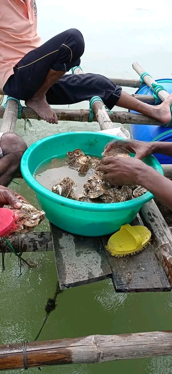 thumbnail_1694536785705