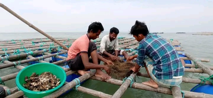 thumbnail_1694536789098