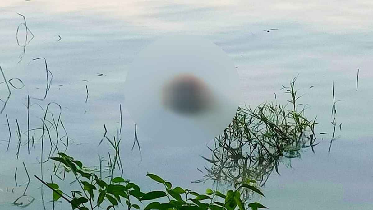 নড়াইলে নিখোঁজ প্রতিবন্ধী যুবকের মরদেহ উদ্ধার