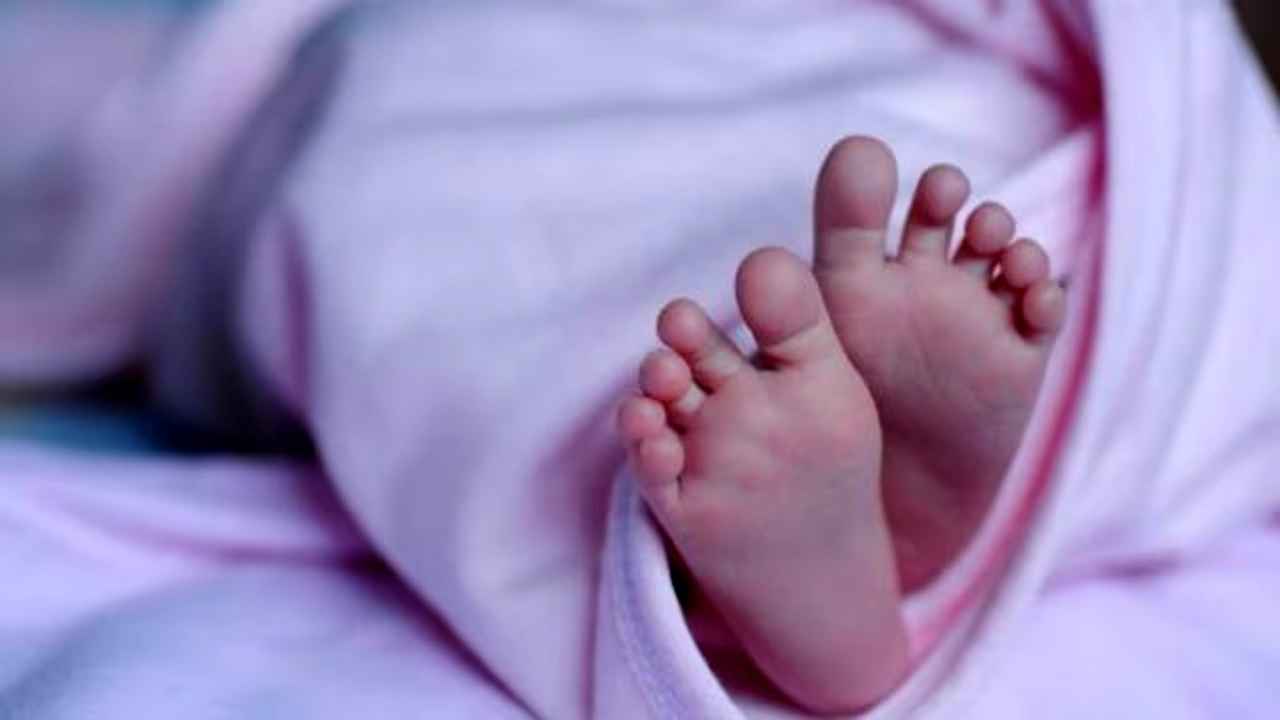 ভারতে জন্মসনদে উল্লেখ থাকতে হবে মা-বাবার ধর্ম!