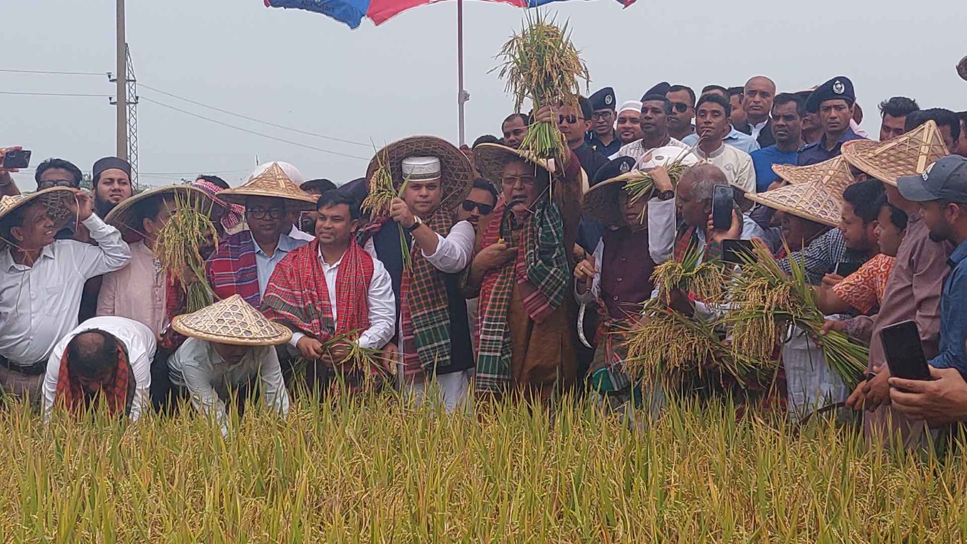 হাওরে কৃষকদের বোরো ধানের উপযুক্ত মূল্য নির্ধারণ করা হবে: কৃষিমন্ত্রী