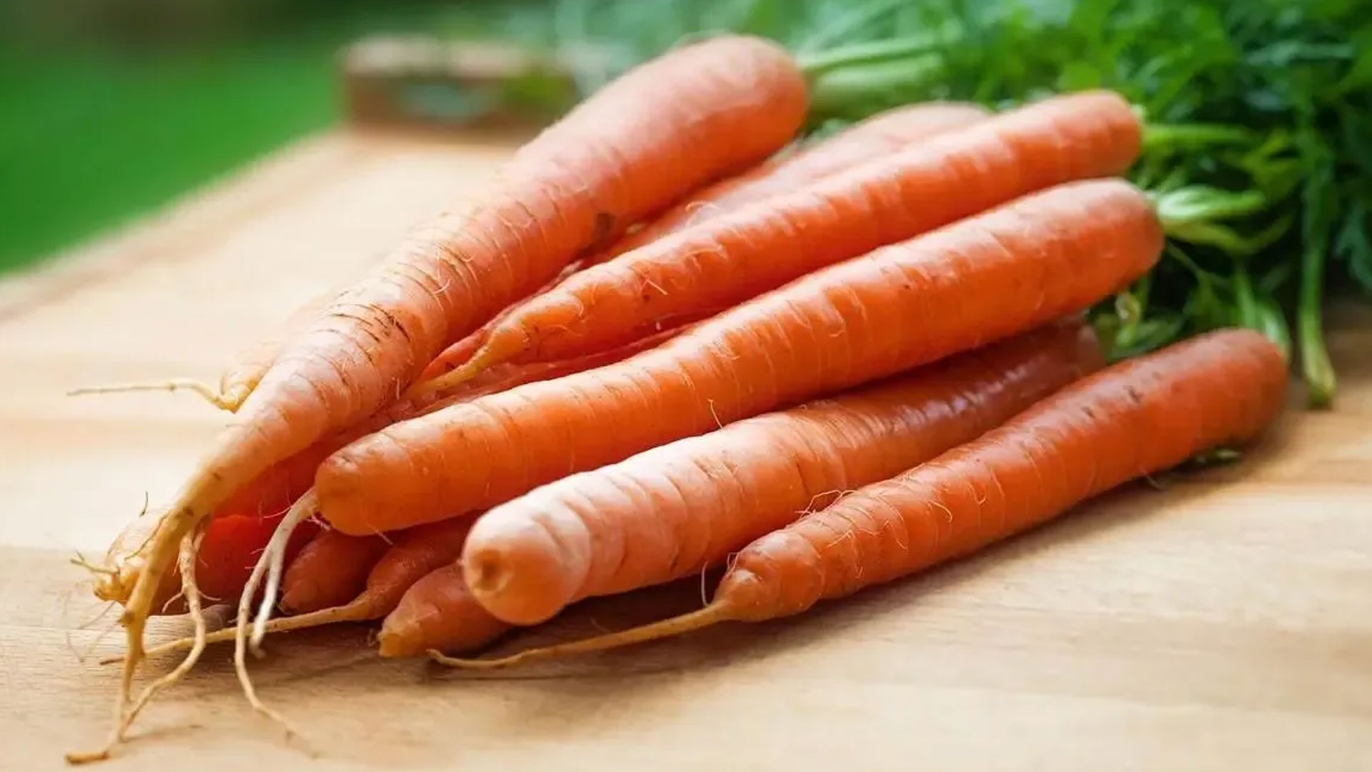 carrot4 carrot4