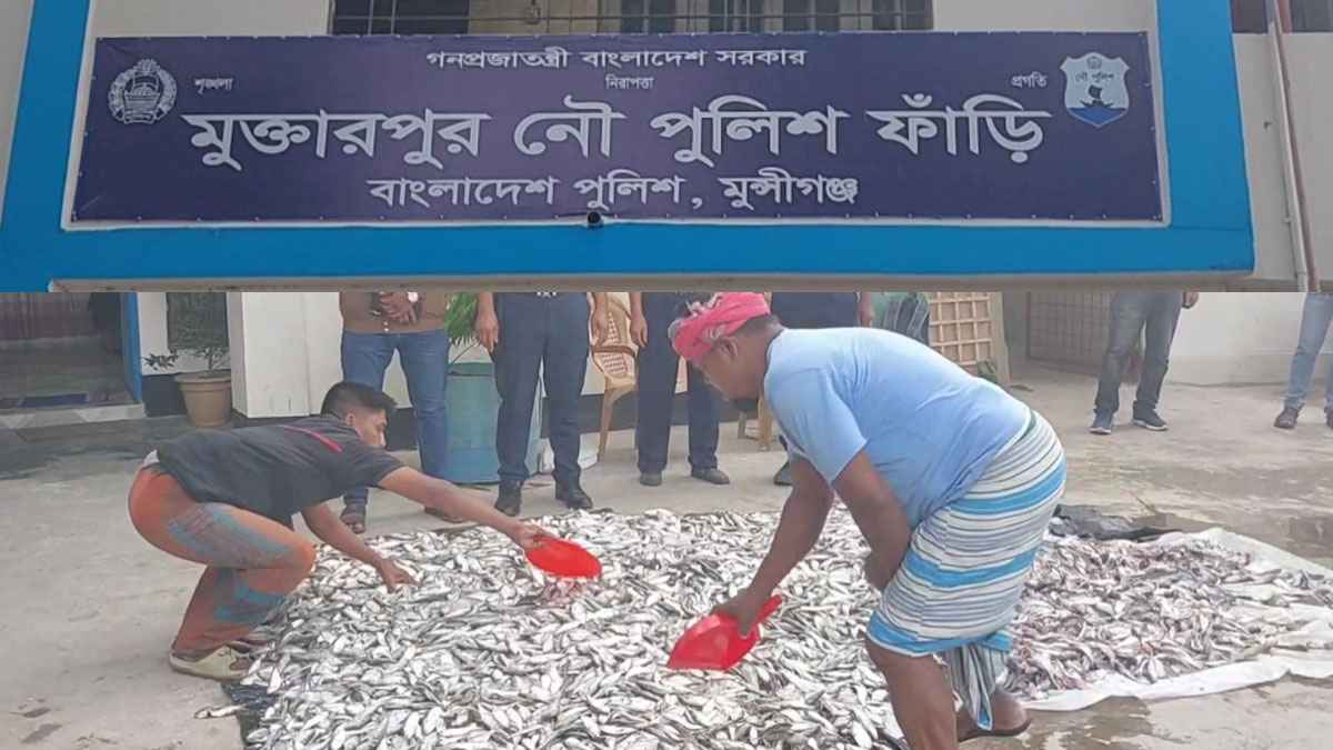 মুন্সিগঞ্জে ১৫ মণ জাটকাসহ দুই ব্যবসায়ী আটক