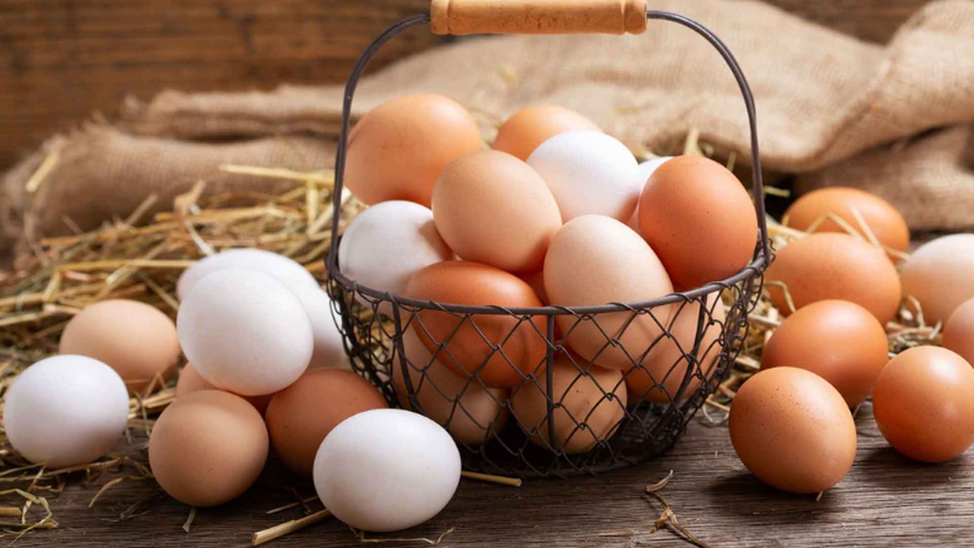 লাল নাকি সাদা, কোন রঙের ডিমের পুষ্টি বেশি?