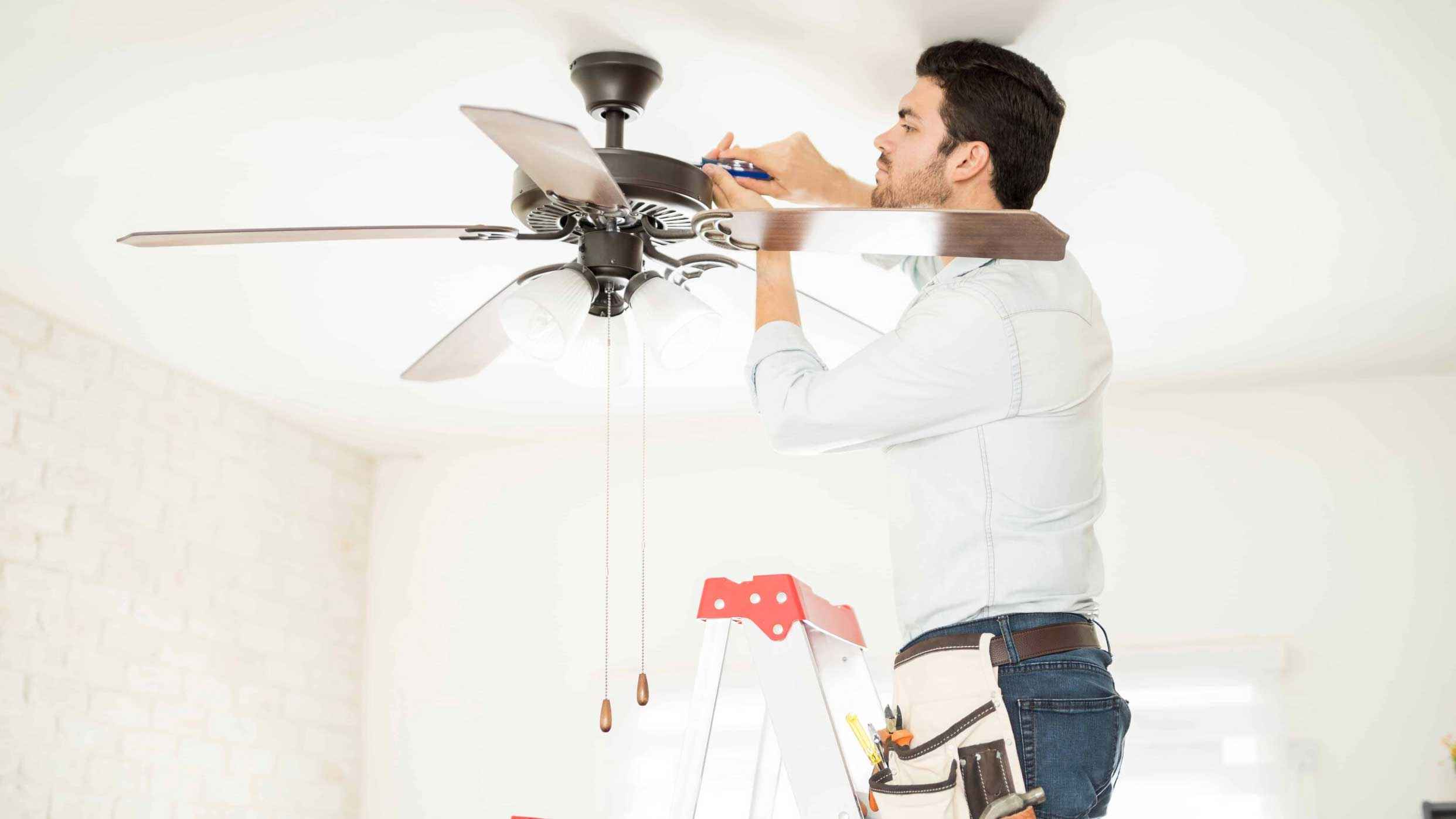 fan