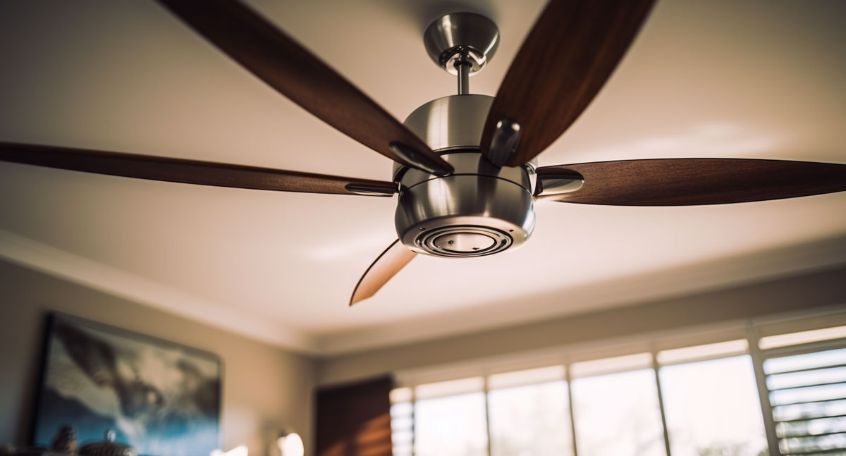 fan