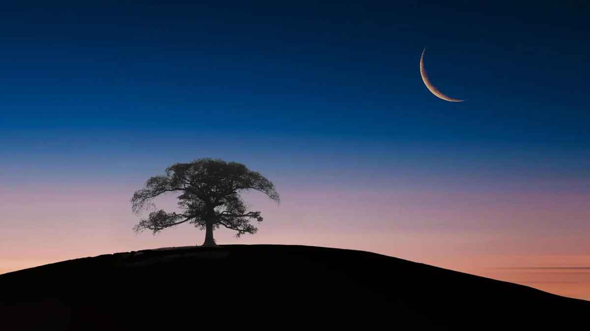 ঈদের চাঁদ দেখে যে দোয়া পড়বেন