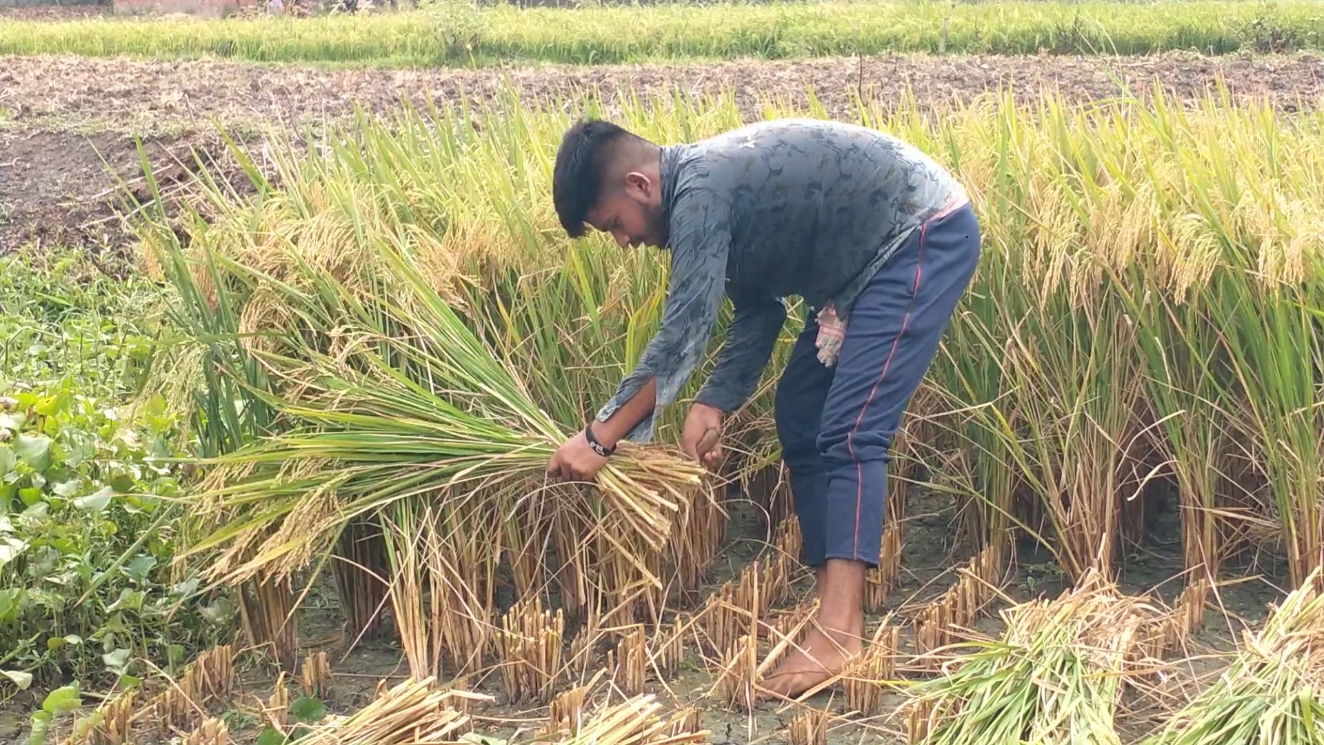 thumbnail_IMG_20240424_12061170