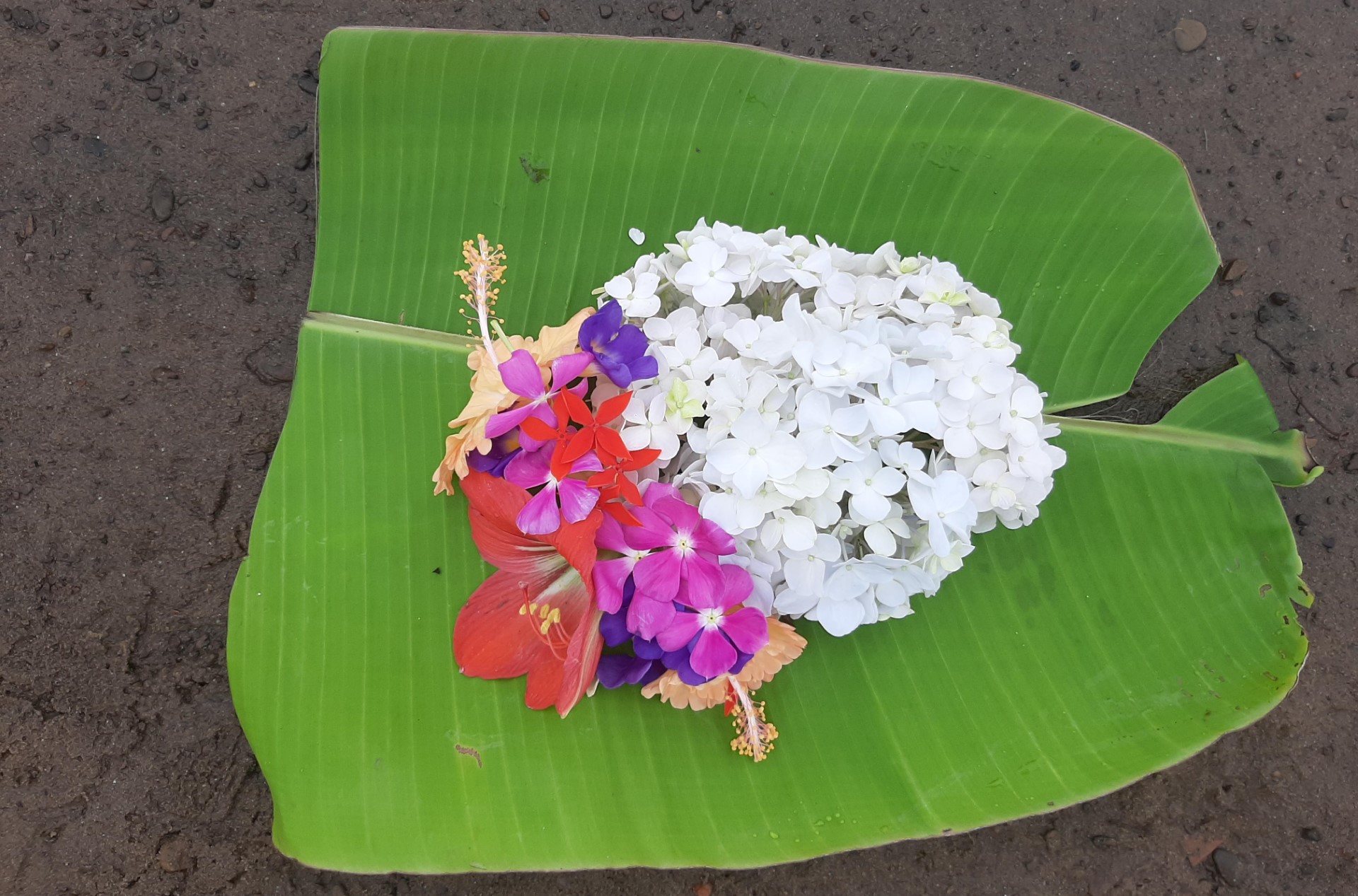 thumbnail_Khagrachari_Hill_Festival_Photo_-_6