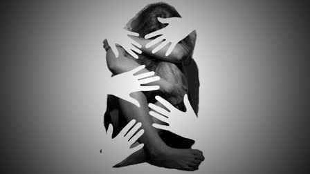 অডিশনের নাম করে অভিনেত্রীর ব্যক্তিগত অঙ্গ স্পর্শ!