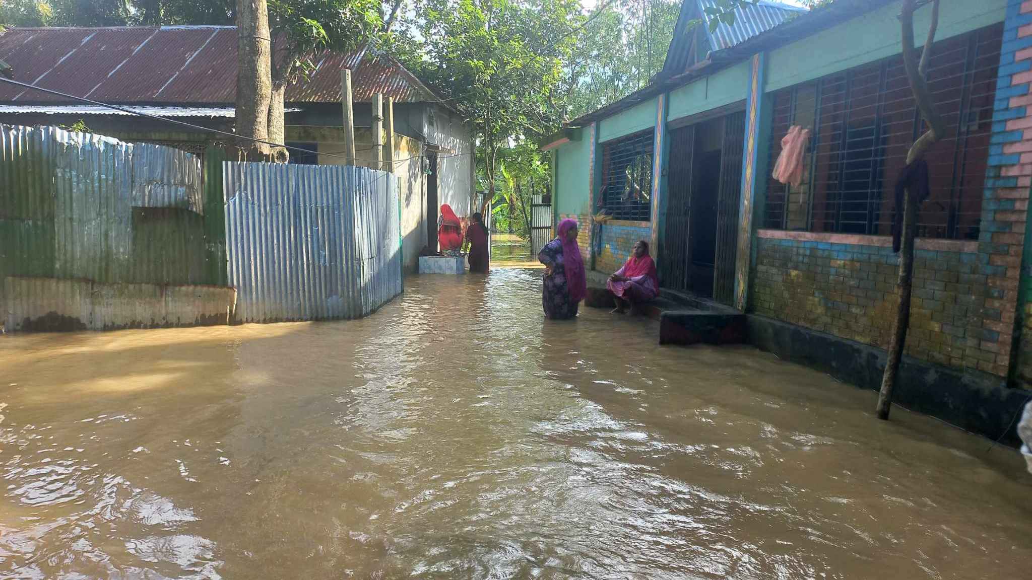 বন্যায় সাপ আতঙ্কে নির্ঘুম রাত কাটছে