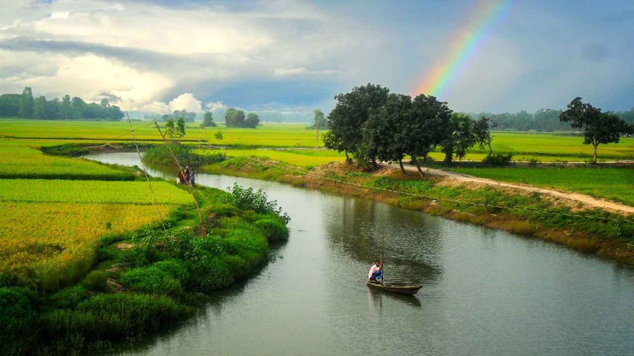আমি ভুলিনি