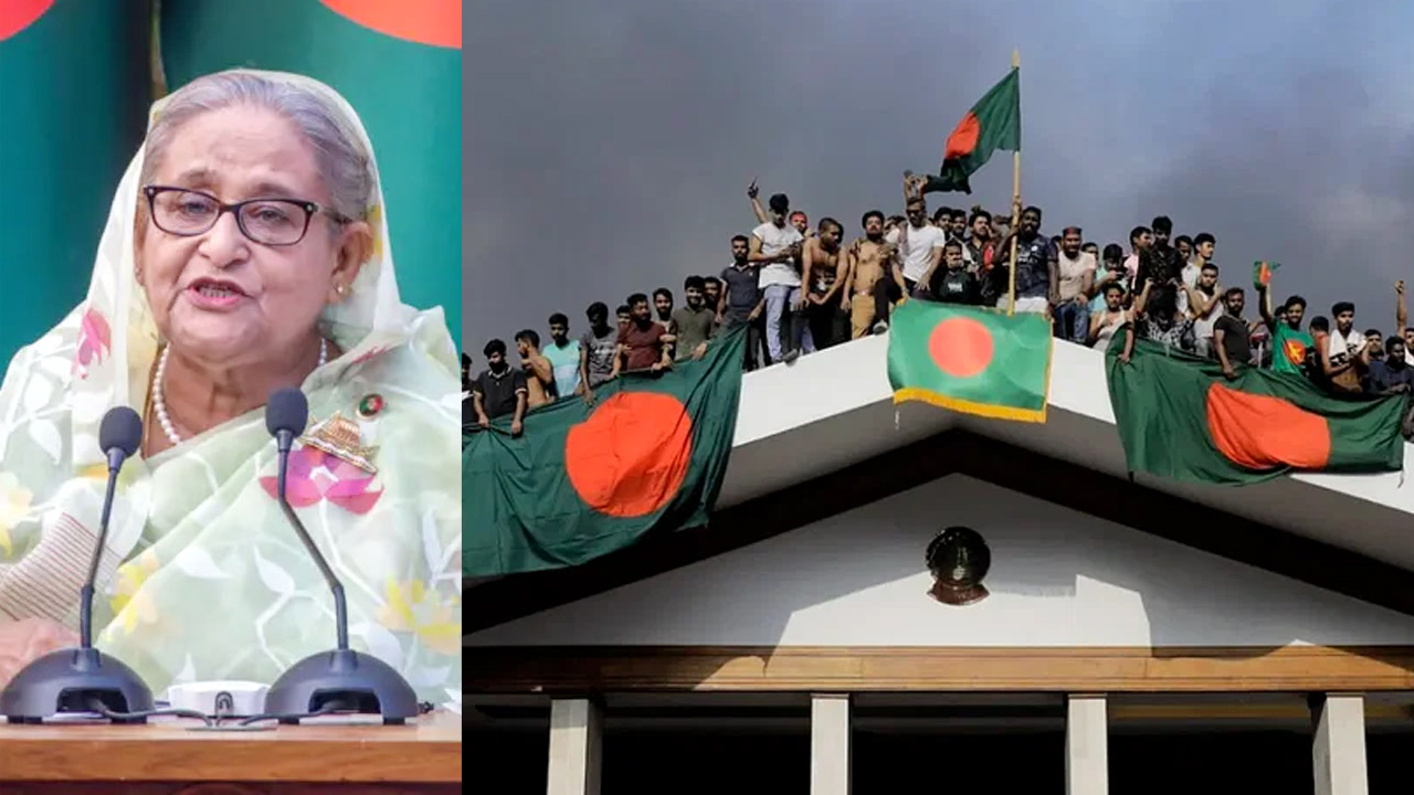 Sweety_Op_Ed--01 Sweety_Op_Ed--01