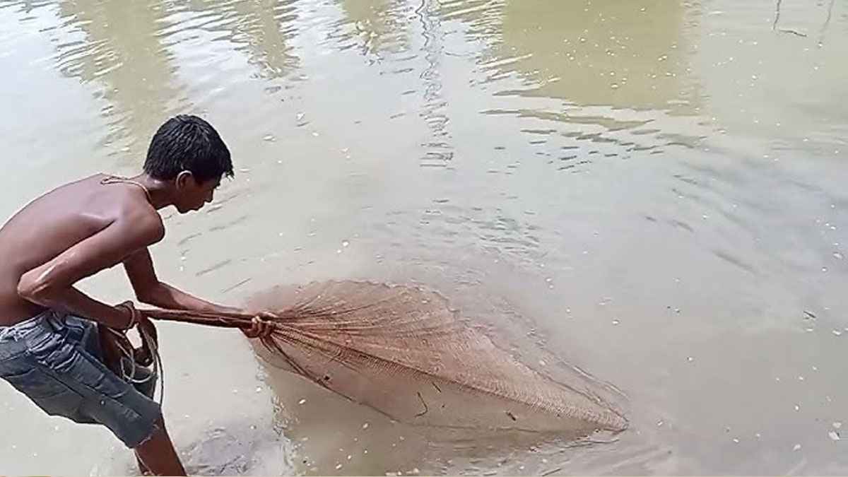 বন্যায় পুকুরের ভেসে যাওয়া মাছ খাওয়া জায়েজ?