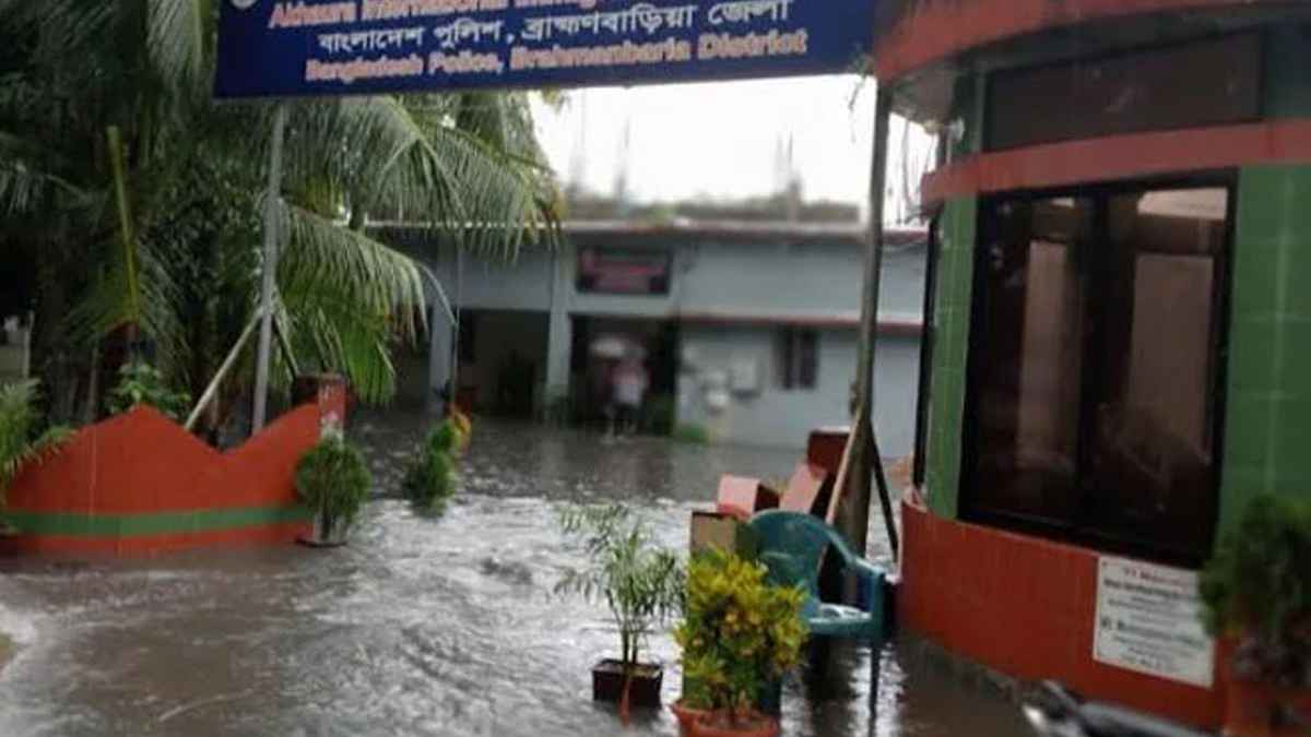 পানিতে ডুবে প্রাণ গেল দুই ভাইয়ের