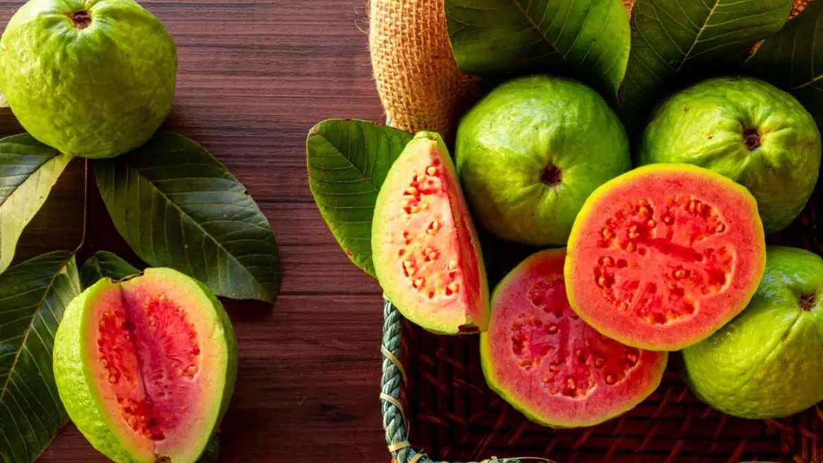 চুল পড়া থেকে উচ্চ রক্তচাপ, পেয়ারাতেই হবে সব সমস্যার সমাধান! জানুন এই সস্তা ফলের অসাধারণ গুণাগুণ