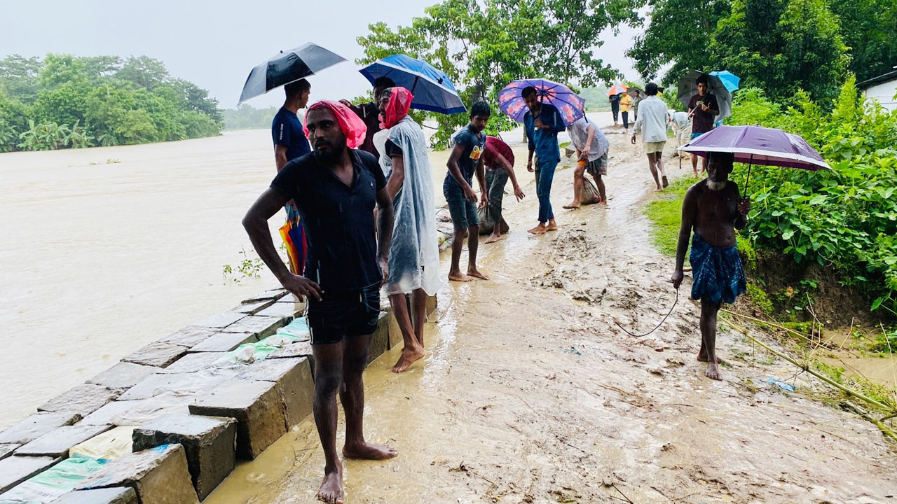 mowlavi_bazar mowlavi_bazar