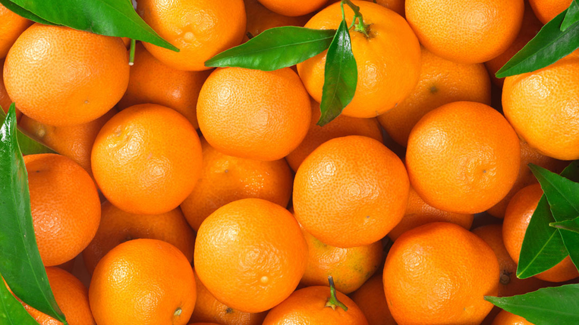 orange orange