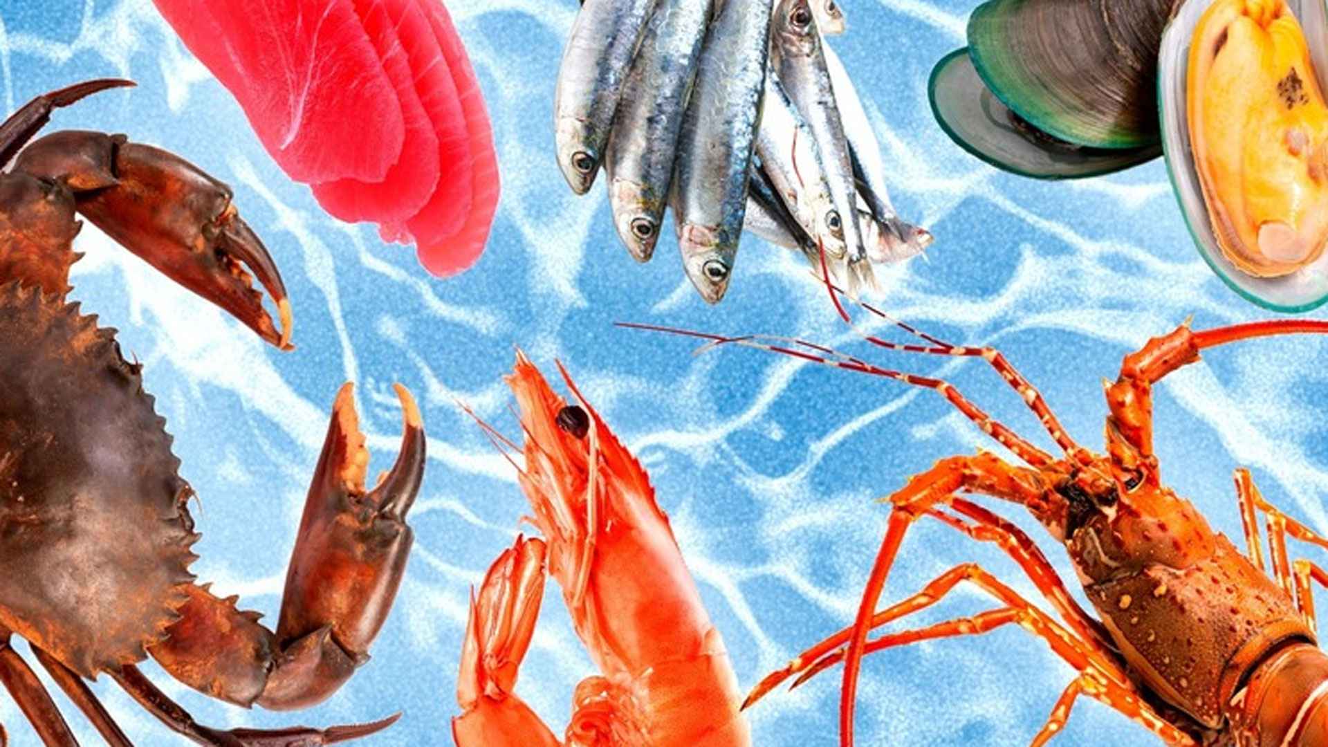 সামুদ্রিক মাছ রান্নায় এসব নিয়ম মানছেন তো?