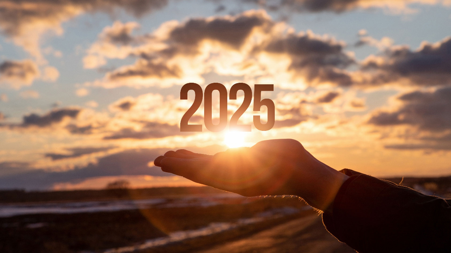 2025-year3 2025-year3