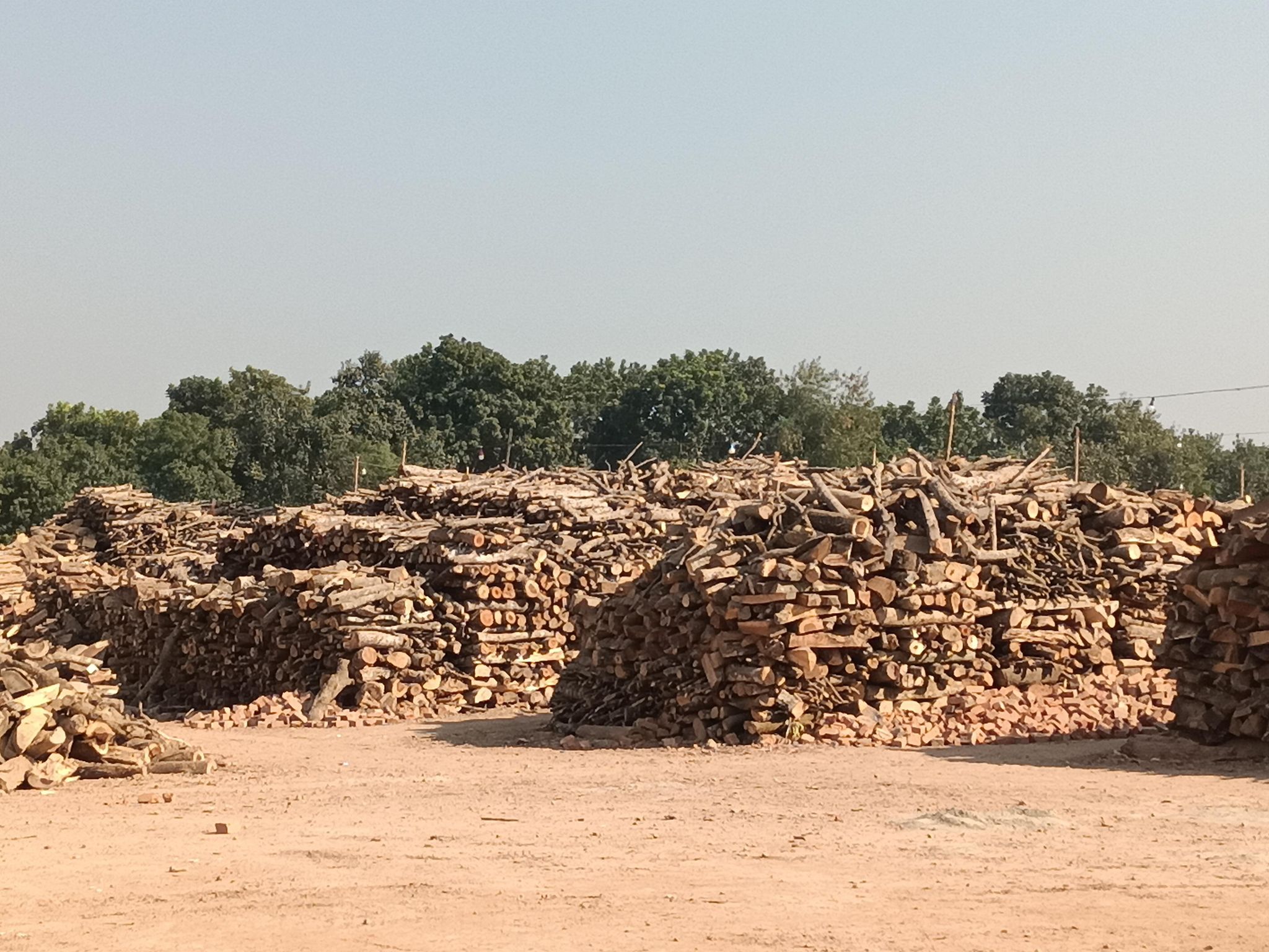 462564170_552038194383834_110113554795467382_n 462564170_552038194383834_110113554795467382_n