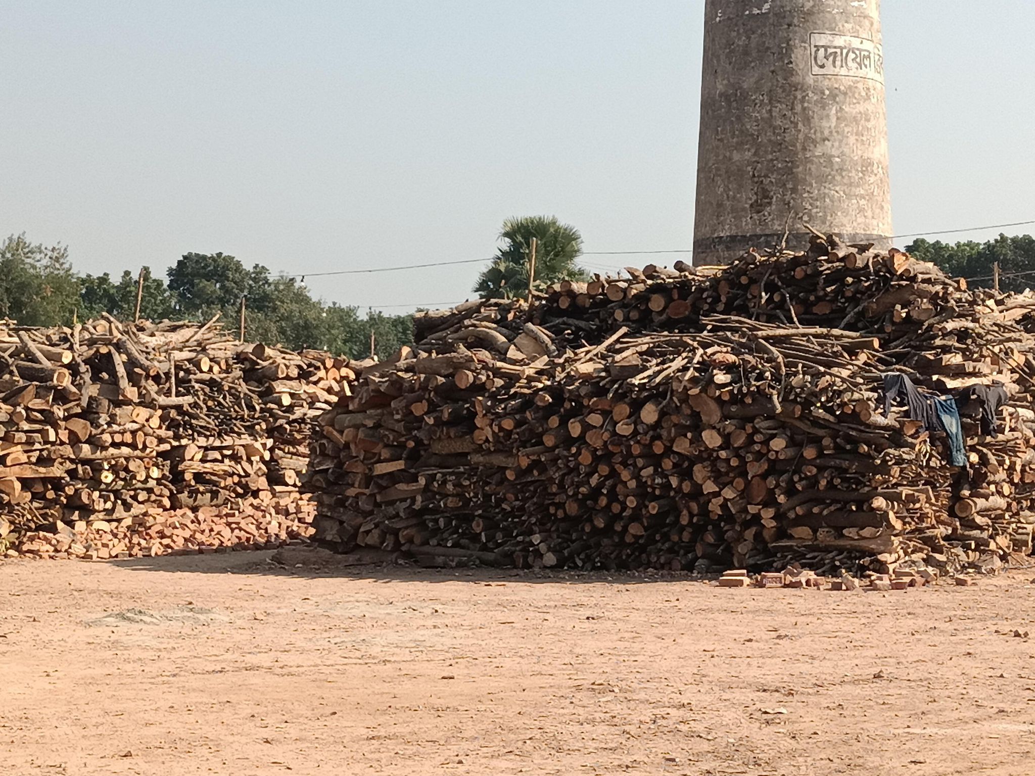 462579468_1805394389865643_7919648684705060381_n 462579468_1805394389865643_7919648684705060381_n