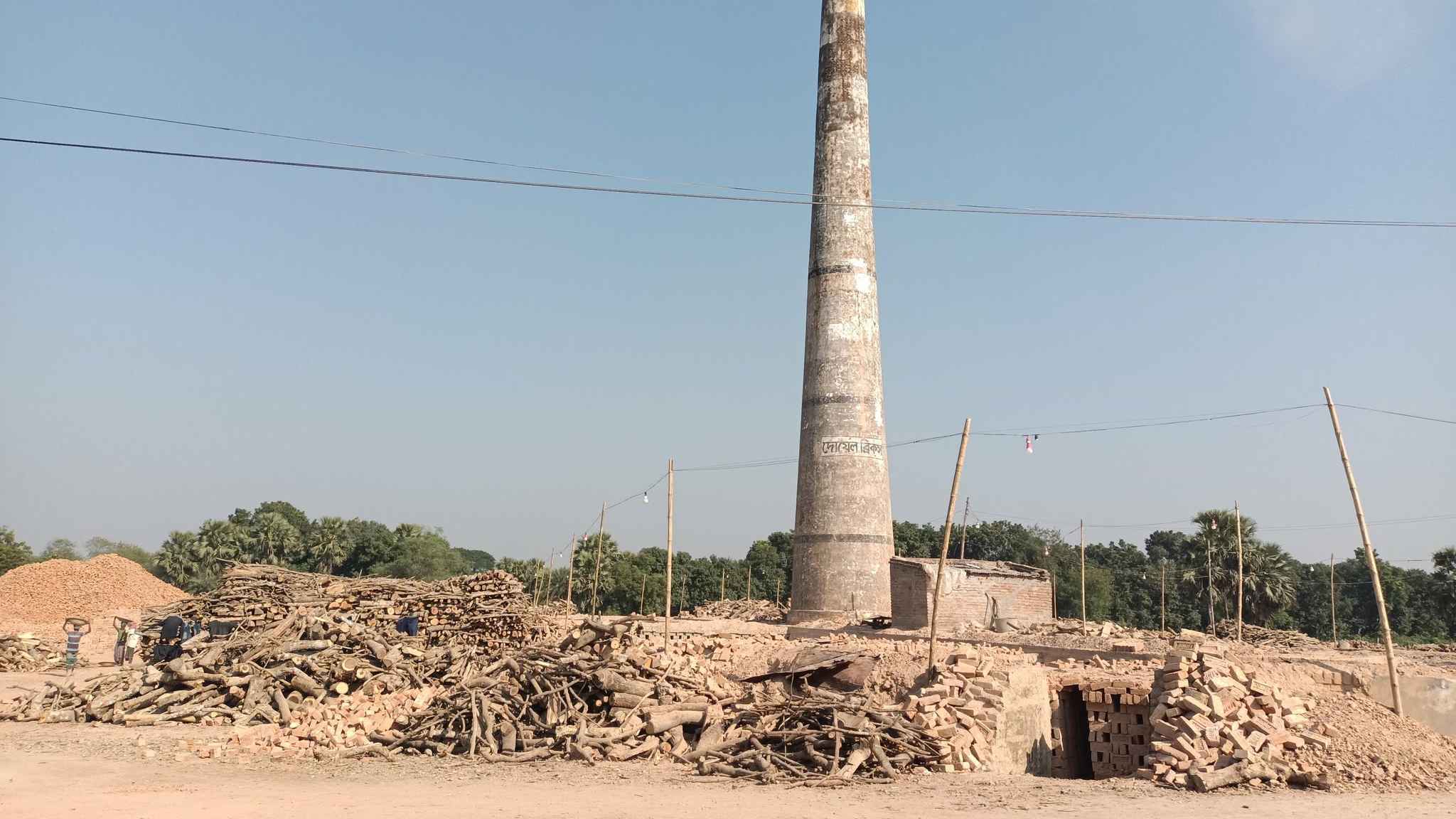 গাংনীতে দিনে ২০ হাজার মণ কাঠ পুড়ছে ইটভাটায়