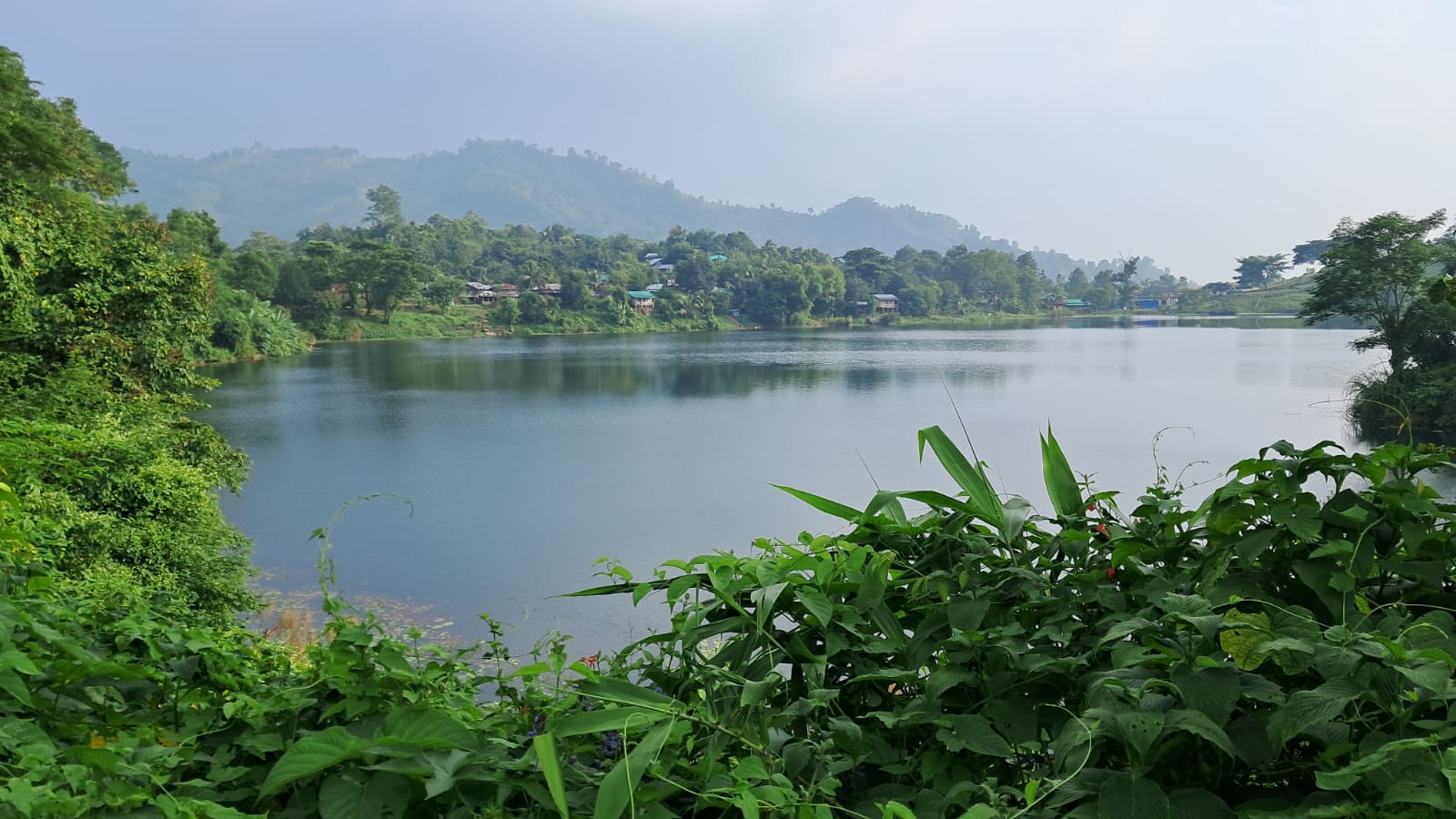 IMG-20241031-WA0010 IMG-20241031-WA0010