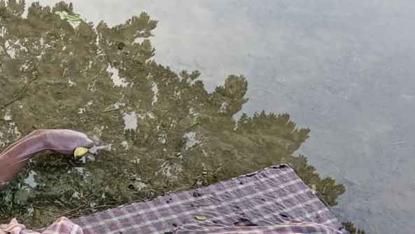 বেনাপোল সীমান্ত থেকে লাশ উদ্ধার