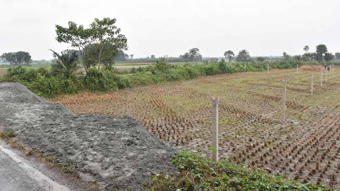 চৌগাছায় বৃদ্ধার জমি দখলের অভিযোগ