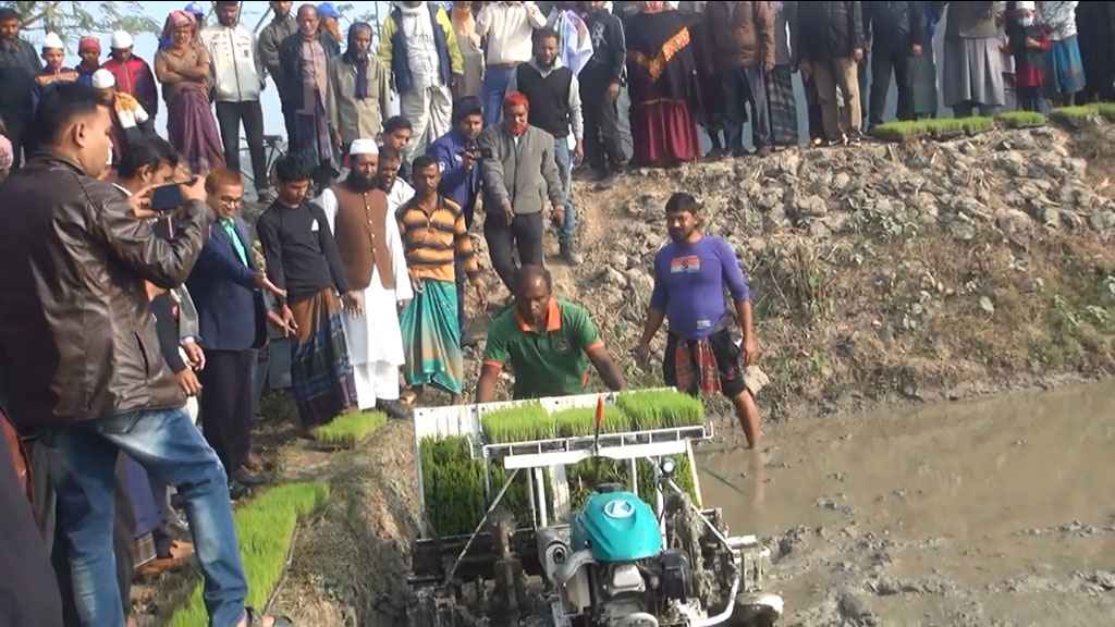 কালিগঞ্জে রাইচ ট্রান্সপ্লান্টার মেশিনে চারা রোপণ উদ্বোধন