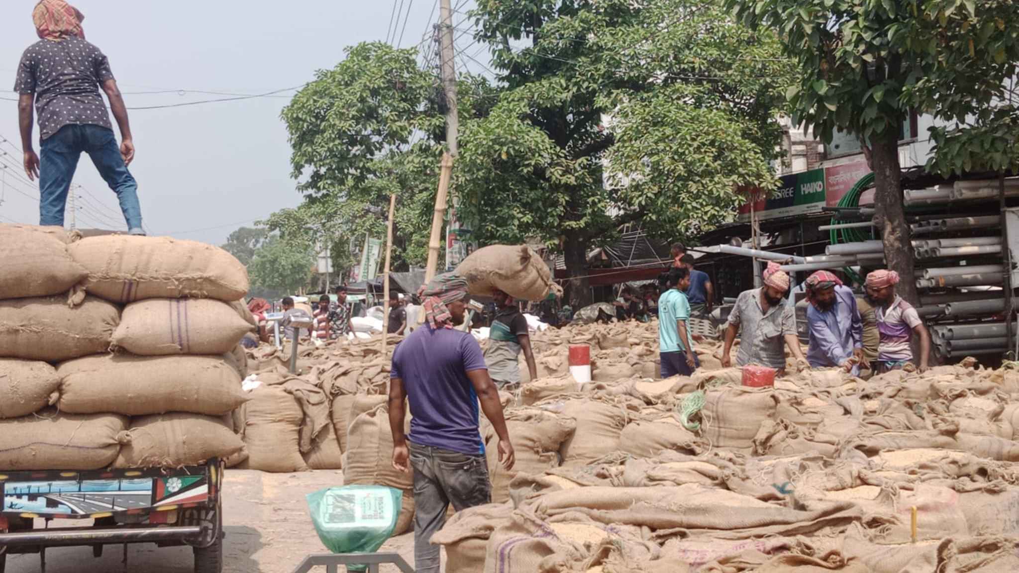 আমন ধানের দামে খুশি ঝিনাইদহের কৃষক