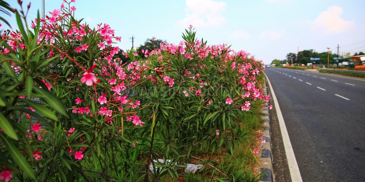 Screenshot_2024-12-20_093914