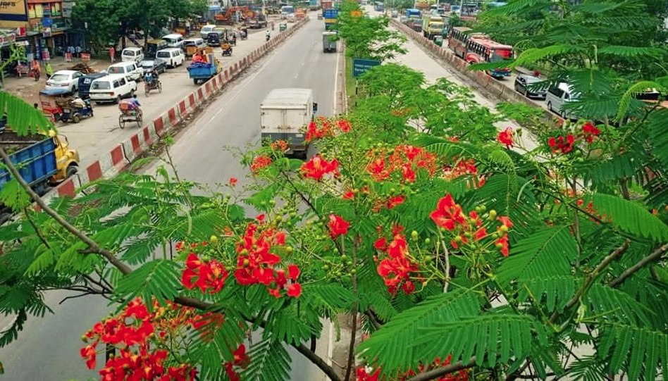 Screenshot_2024-12-20_093937