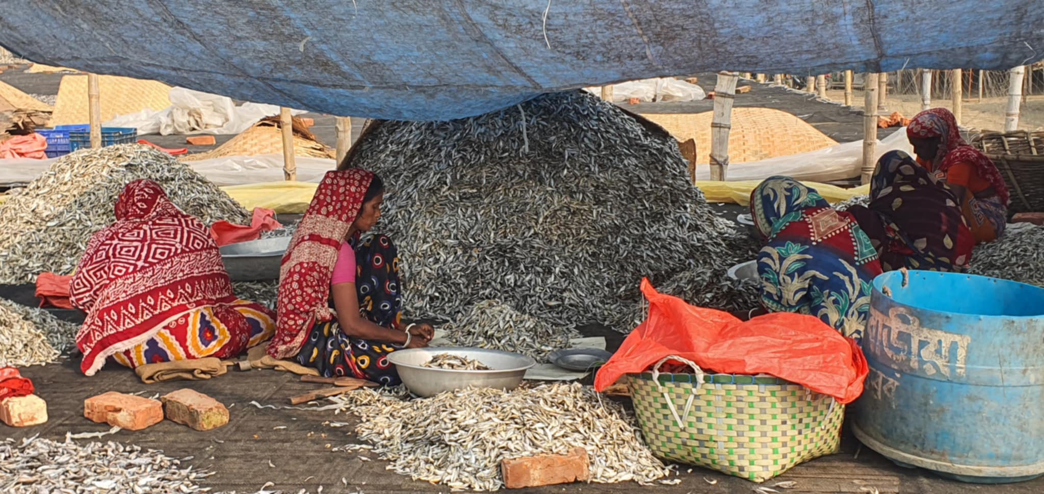 asugonj_sutki asugonj_sutki