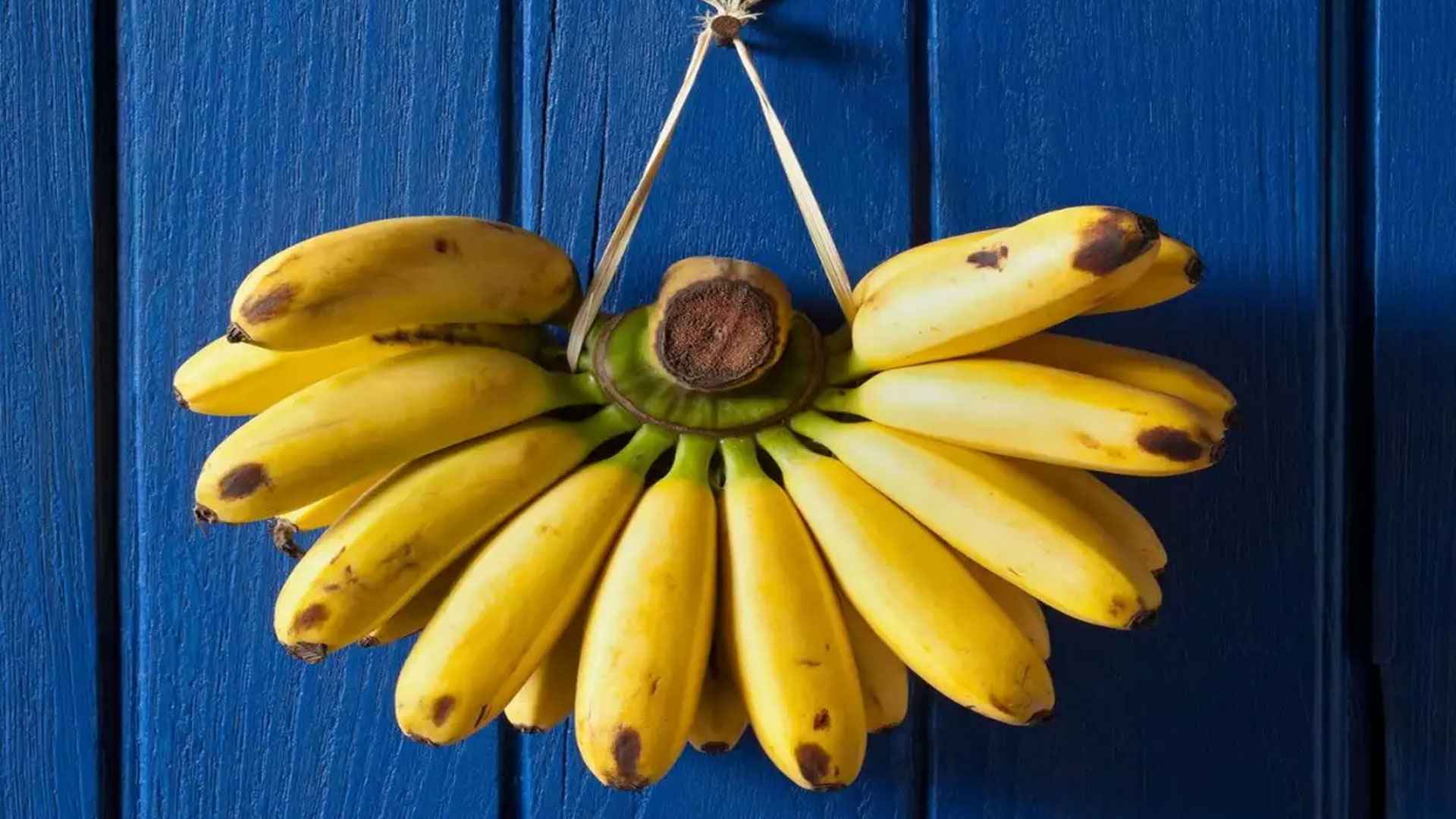 কলা ঝুলিয়ে রাখা হয় কেন?