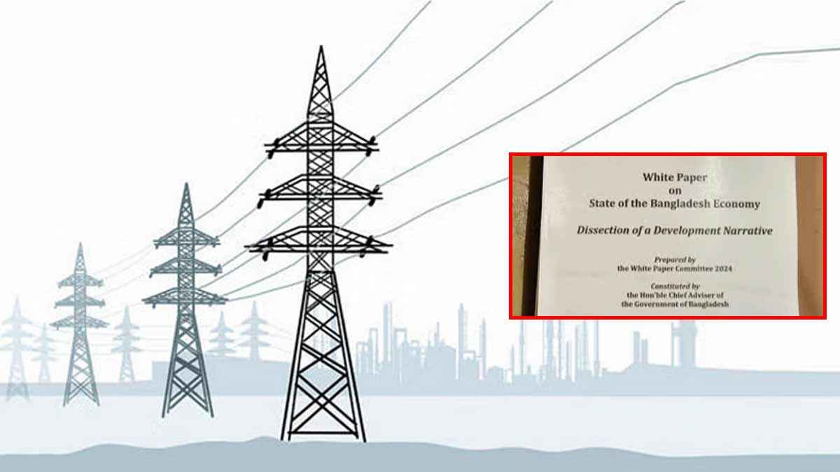 ‘১৫ বছরে অতিরিক্ত ক্যাপাসিটি পেমেন্ট ৩৬ হাজার কোটি টাকার বেশি’