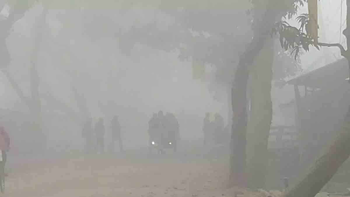 কুয়াশায় বিমান-নৌ-সড়কে যোগাযোগ ব্যাহতের আভাস, বাড়বে শীত