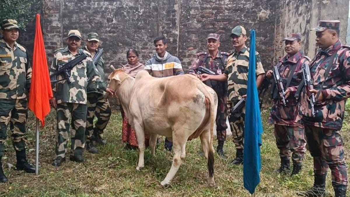 হিলি সীমান্তে পতাকা বৈঠকে ভারতীয় গরু হস্তান্তর