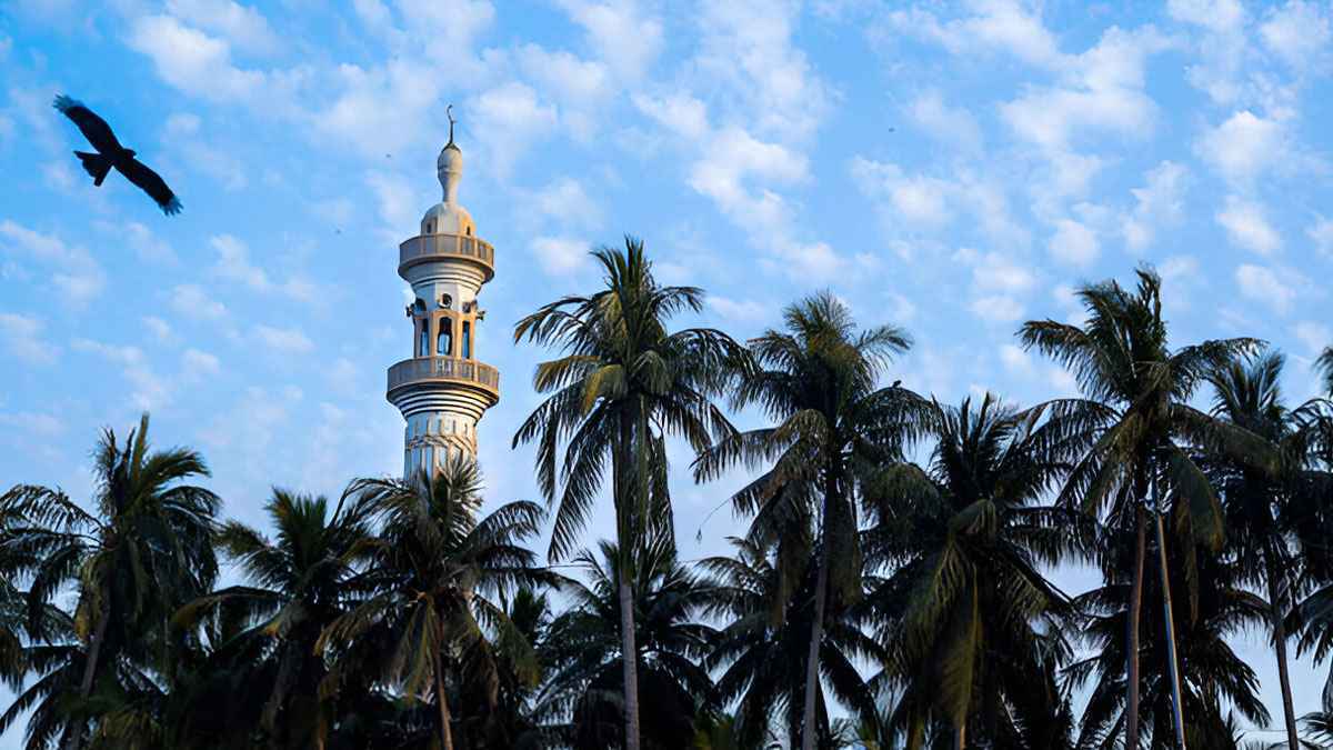 ঈমানের দাওয়াত যারা পায়নি তাদের বিচার কীভাবে হবে