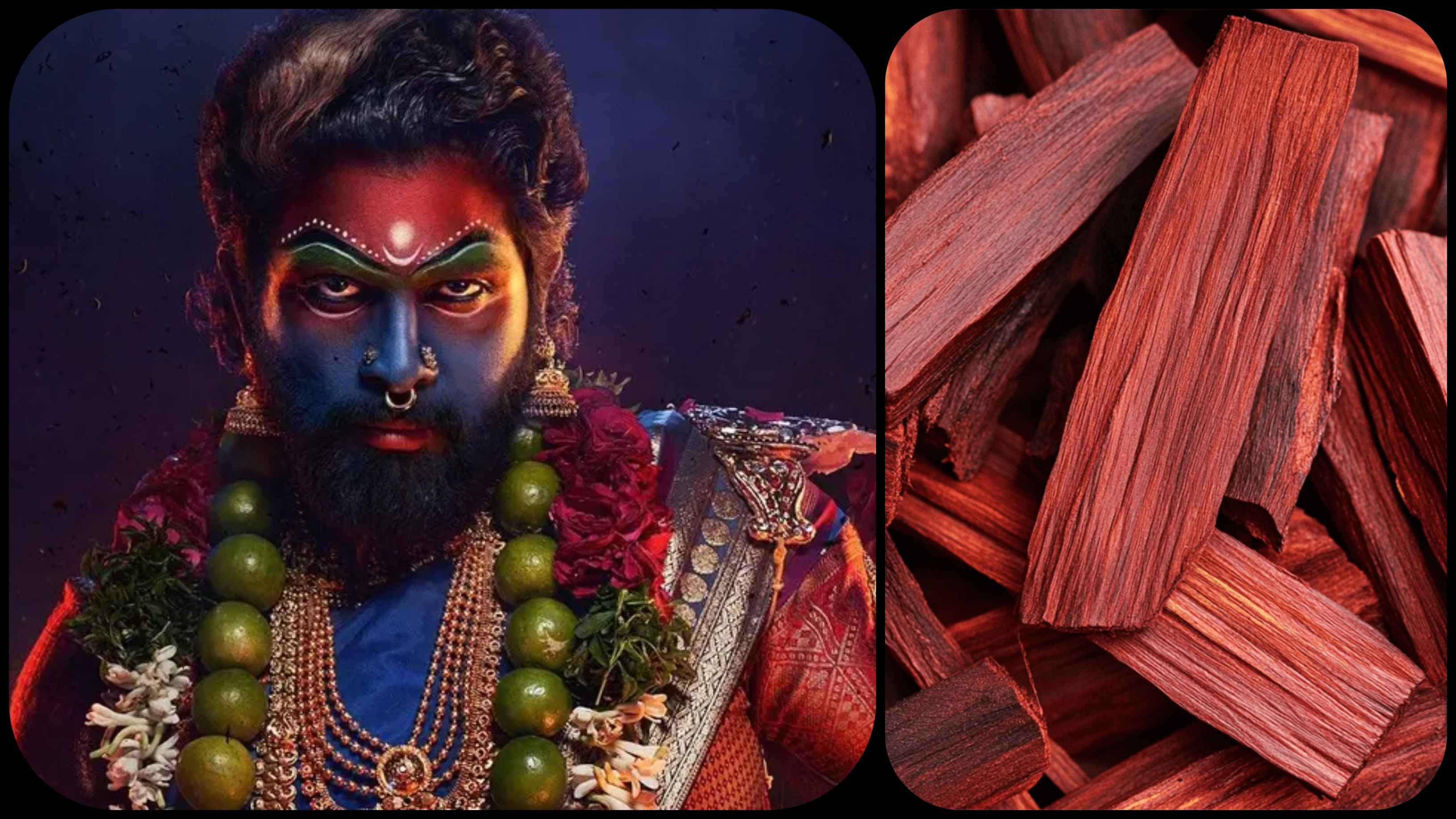 লাল চন্দন কেন এত দামী?