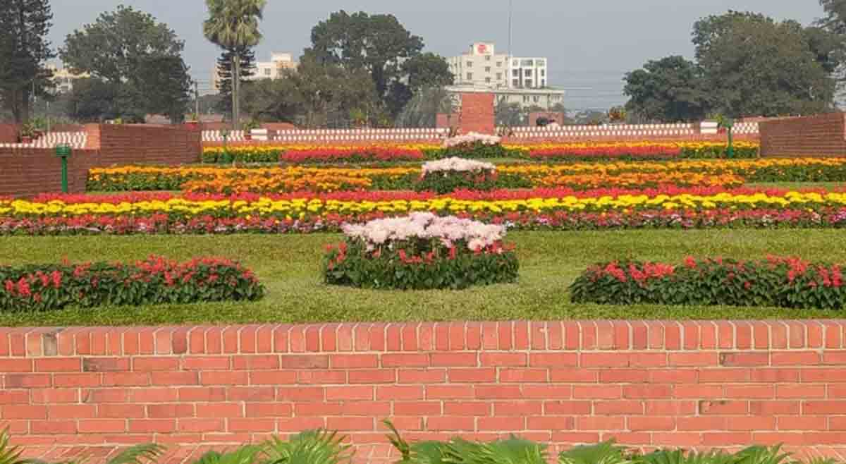savar-1
