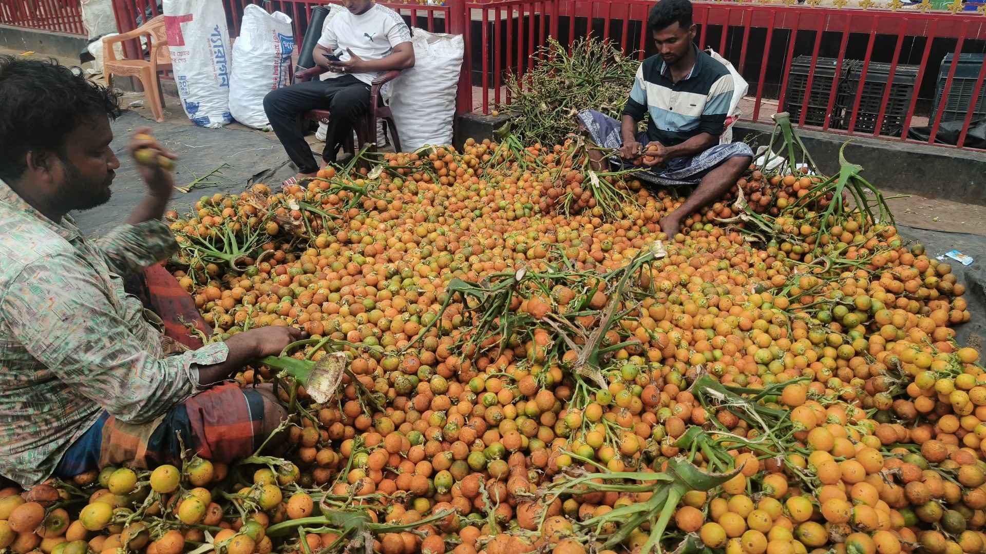 দাম ভালো পাওয়ায় খুশি চাষিরা, বিদেশেও রফতানি হচ্ছে কক্সবাজারের সুপারি