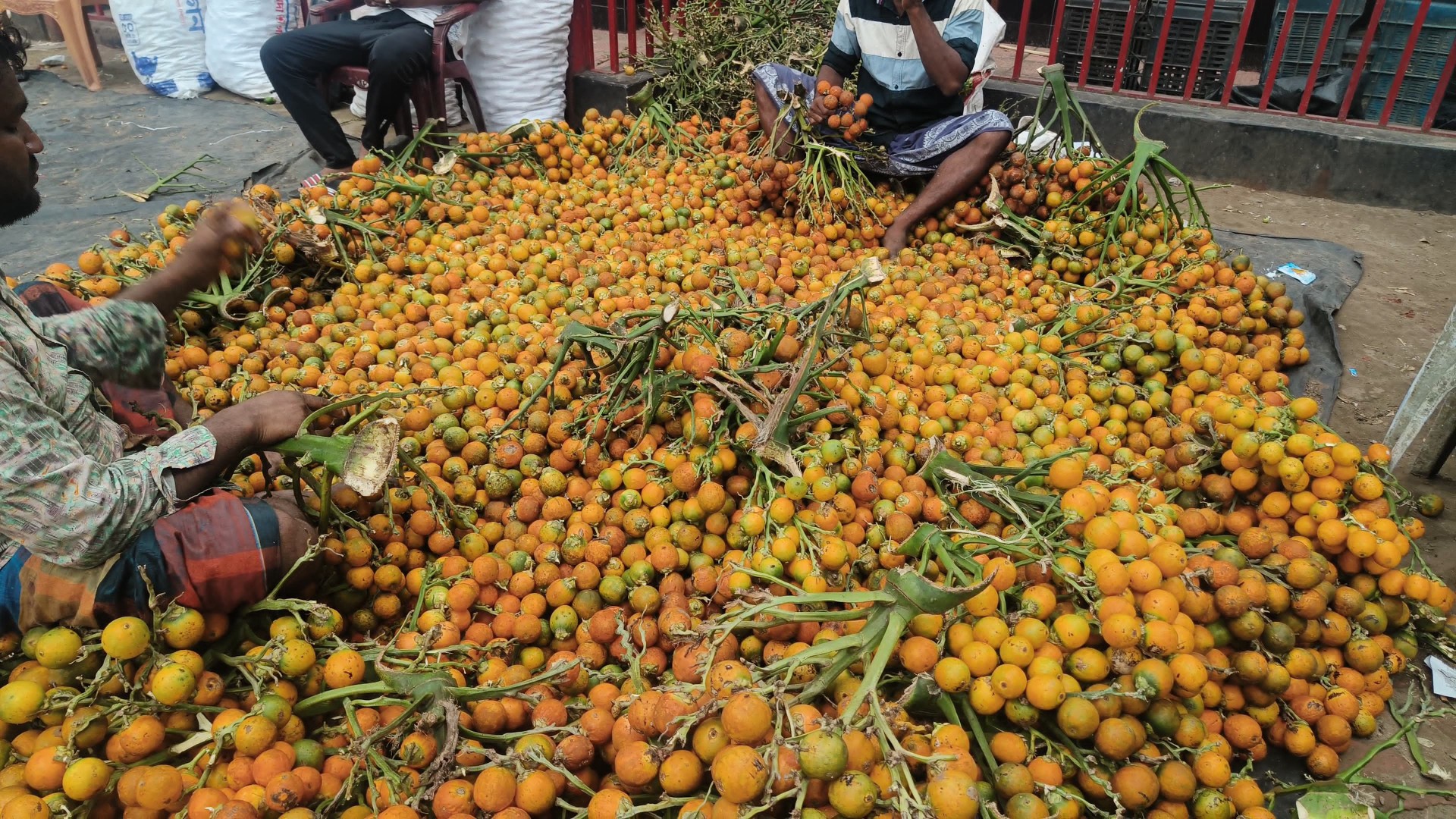 thumbnail_IMG-20241220-WA0006