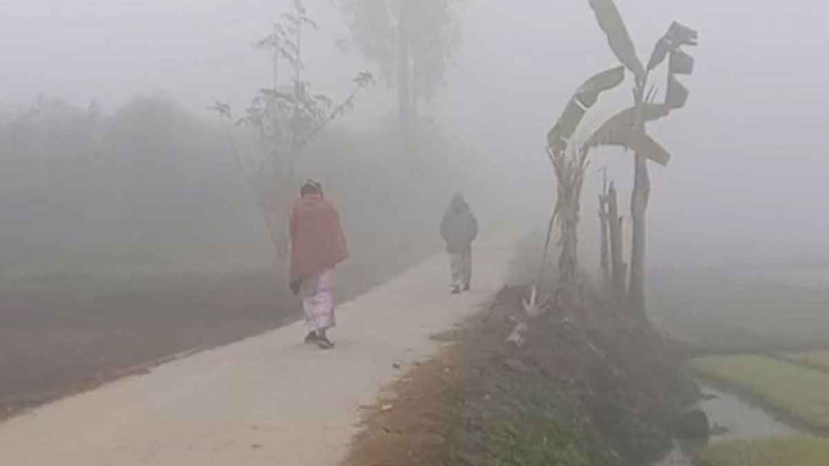 নওগাঁয় বাড়ছে শীতের তীব্রতা, তাপমাত্রা ১০.৬ ডিগ্রি