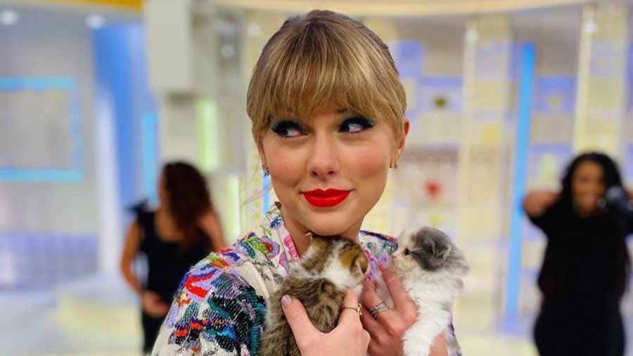 প্রেমিকের চেয়ে টেলরের বিড়ালের আয় বেশি